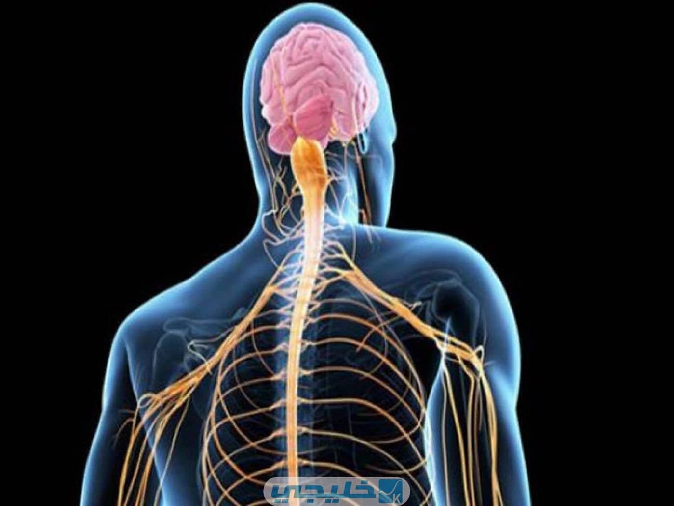 مرض ALS سبب وفاة لاعب نادي النصر السعودي السابق خالد الزيلعي