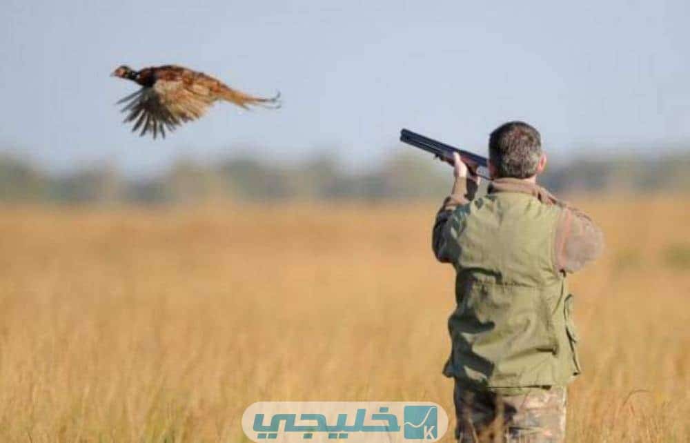 أعلى غرامات صيد الحيوانات البرية في السعودية