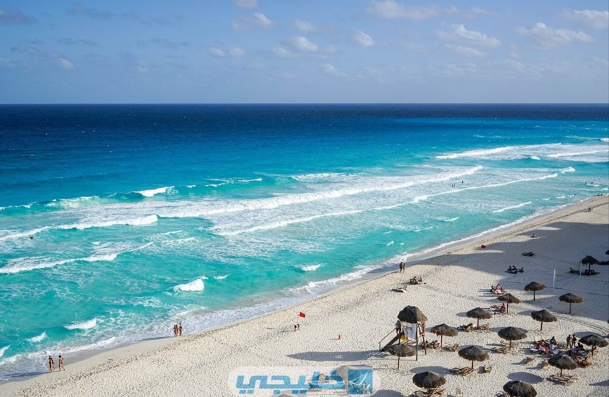 كيف اذهب الى جزيرة فيلكا