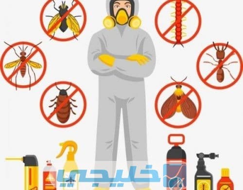 الحشرات التي تقوم شركات مكافحة الحشرات بمكافحتها