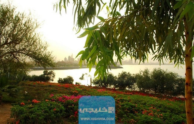 افضل فعاليات الجزيرة الخضراء في الكويت