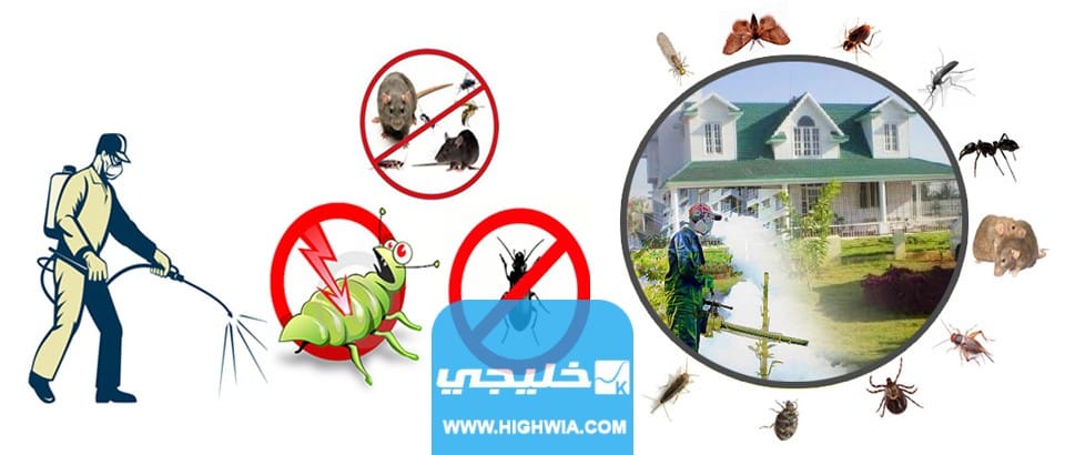 ارقام شركات رش الحشرات بالكفالة في الكويت