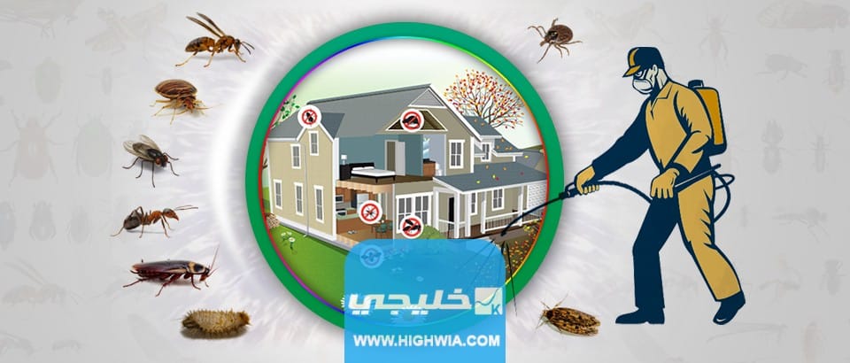 افضل شركات رش ومكافحة الحشرات بالكويت مع الرقم