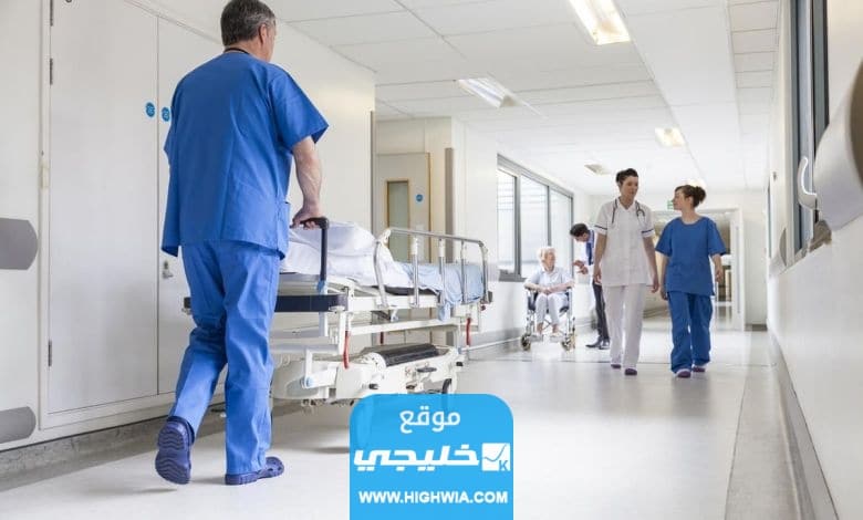 رابط <yoastmark class=