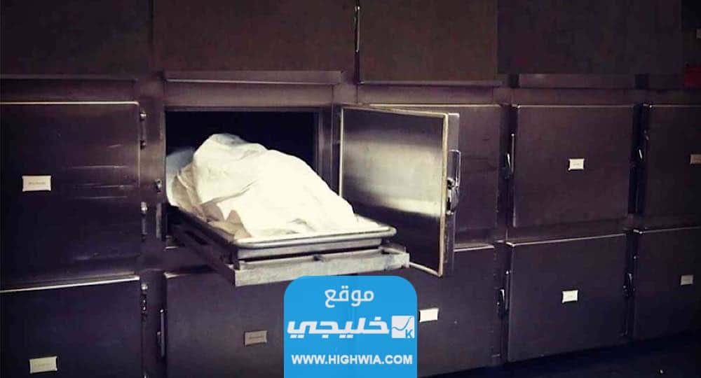 جريمة قتل زينب تهز لبنان
