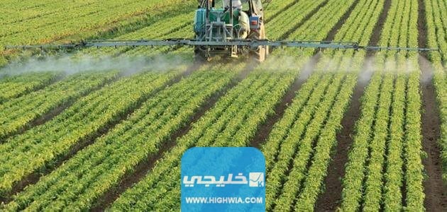 الأجر بالساعة <yoastmark class=