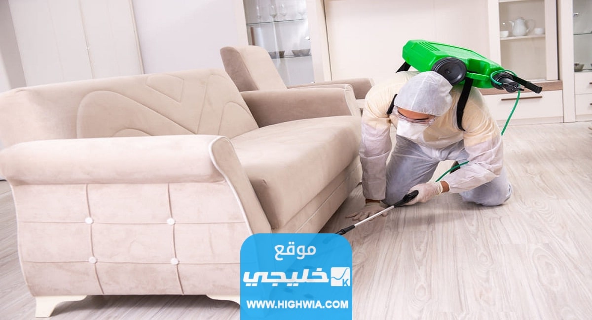 طرق مكافحة حشرات المنزل .... طرق متنوعه لمكافحة مختلف حشرات البيت