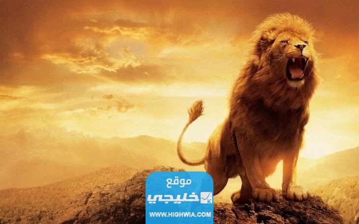 الاسد في تيك توك كم ريال