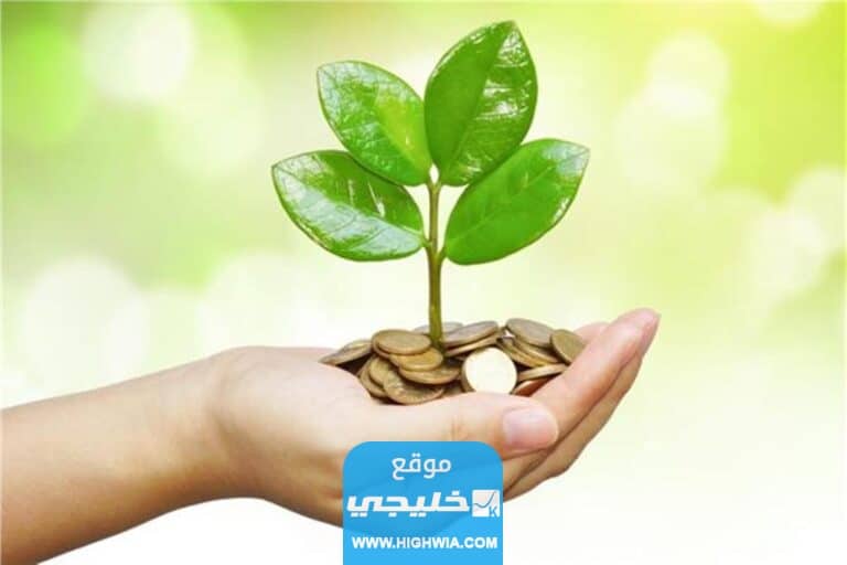 مواعيد استقبال زكاة الفطر العينية في الكويت