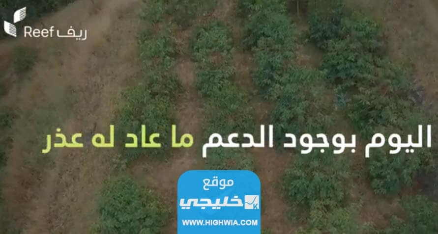 شروط التسجيل في دعم ريف للمتقاعدين