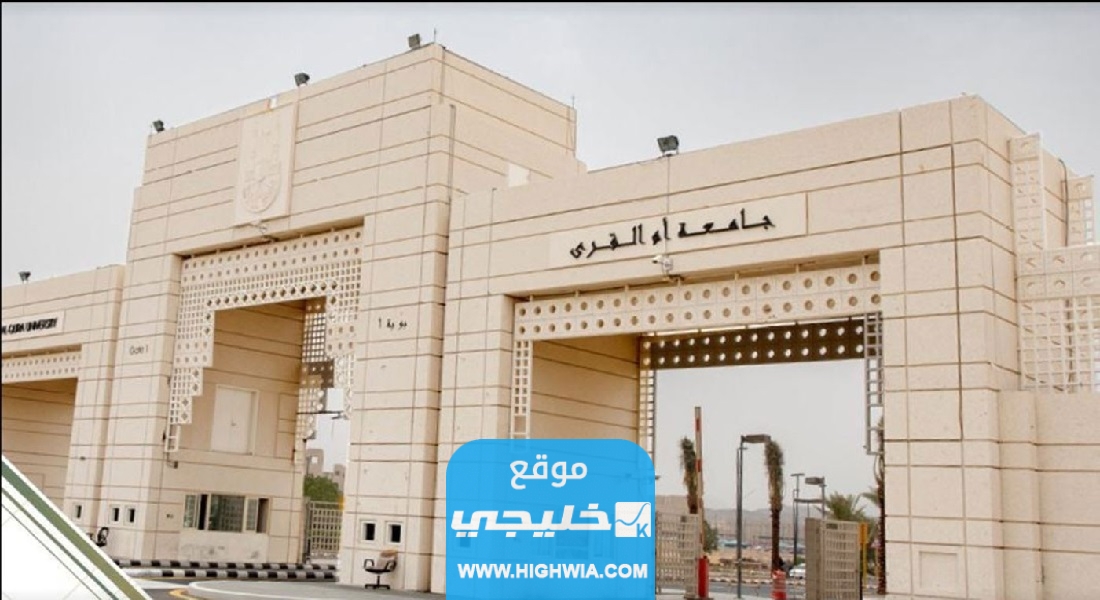 متى يبدأ التحويل إلى جامعة أم القرى.. الأوراق المطلوبة ورابط التحويل