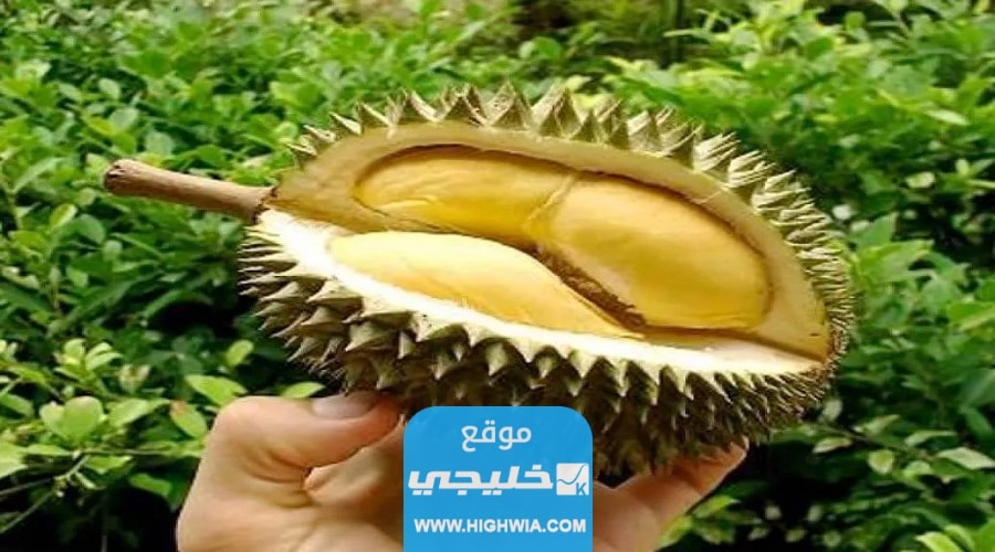 سعر <yoastmark class=