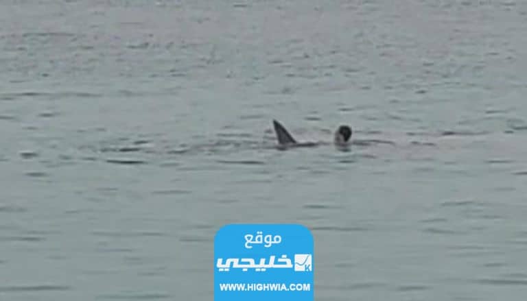 سمكة قرش تقتل سائح روسي في أحد الشواطئ المصرية