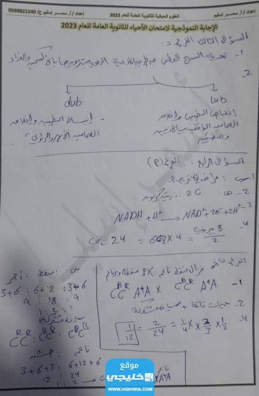 "الحل الرسمي" <img class=