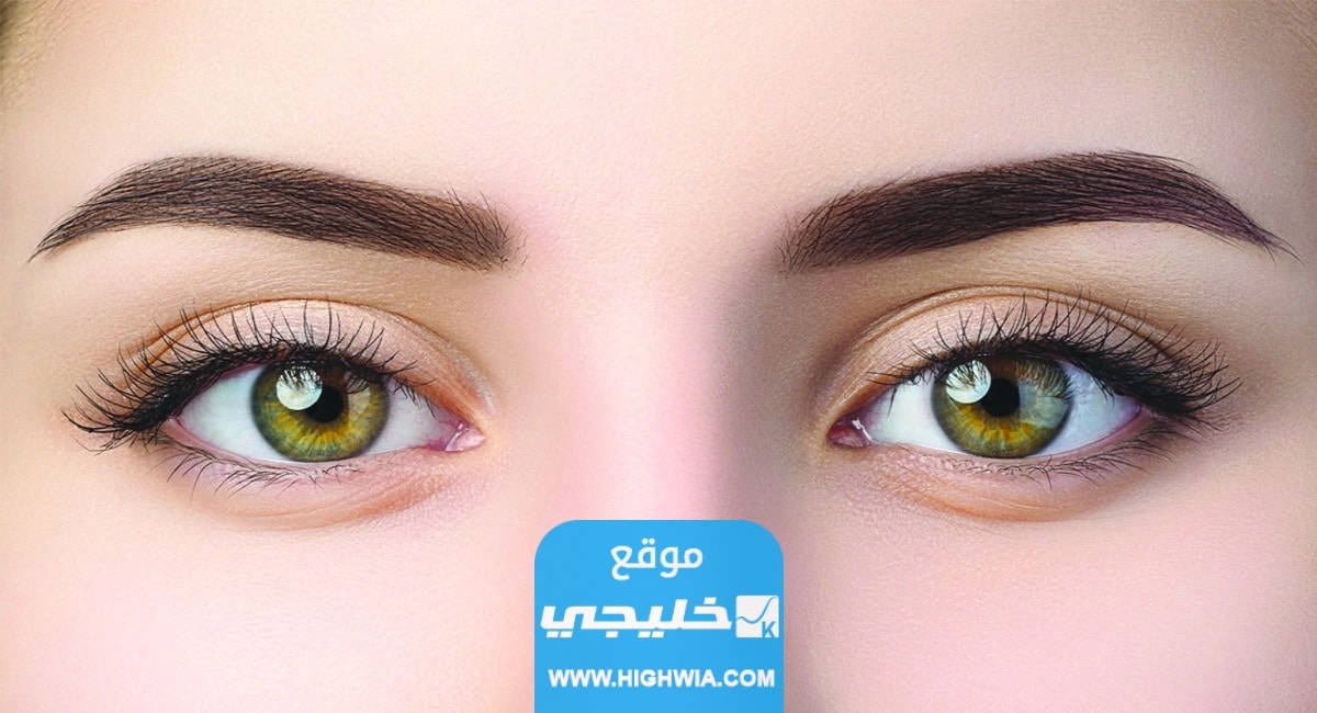 الحاجبان في علم النفس