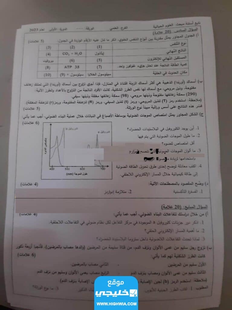 "الحل الرسمي" <img class=