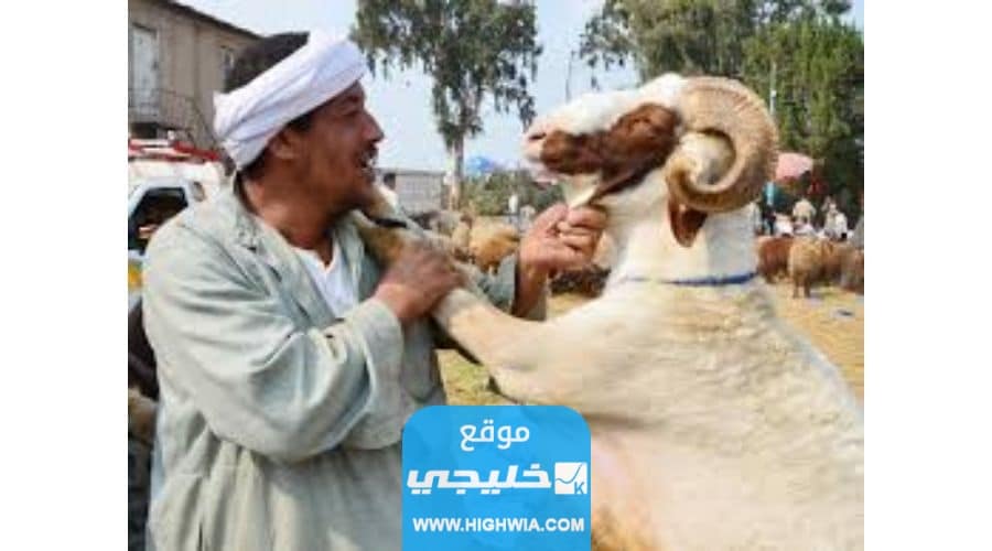 وقفة عيد الاضحى وفق تقويم الكويت