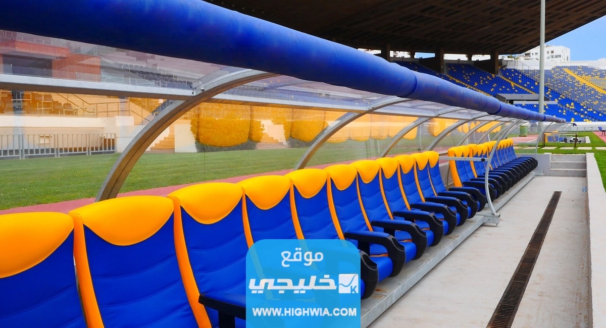 أهم المعلومات عن ملعب محمد عبد المنعم.. تفاصيل كاملة