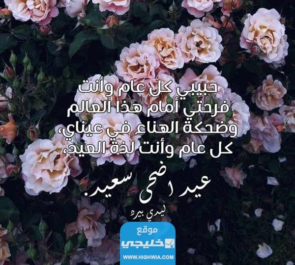 صور <yoastmark class=