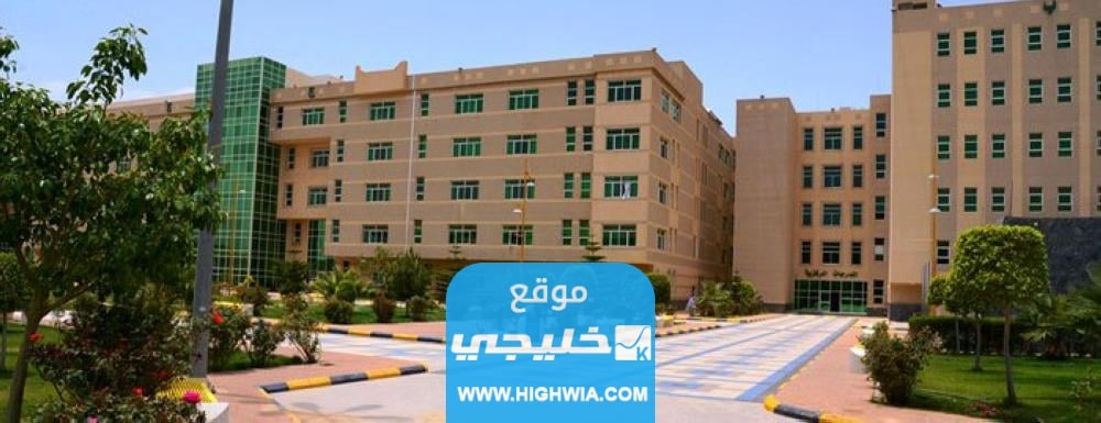 كم النسبة المطلوبة لدراسة الطب في جامعة الملك خالد 2023/1444
