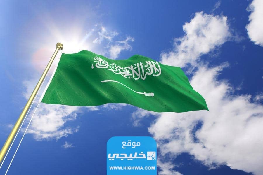 عدد سكان السعودية حسب العمر