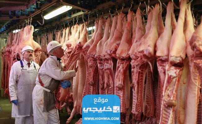 مواعيد عمل المسالخ في الكويت