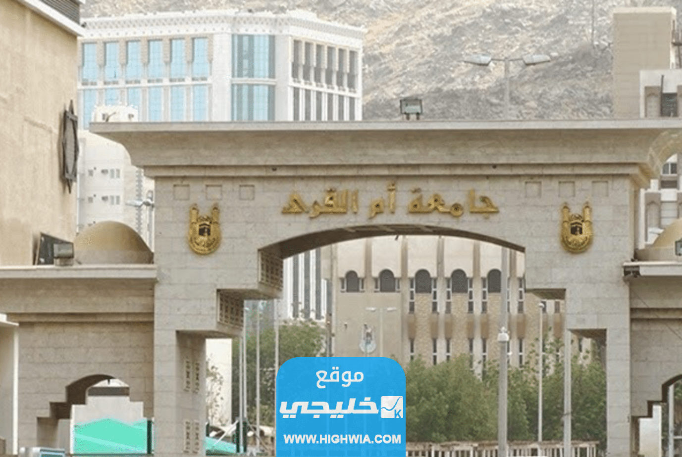 نسب <yoastmark class=