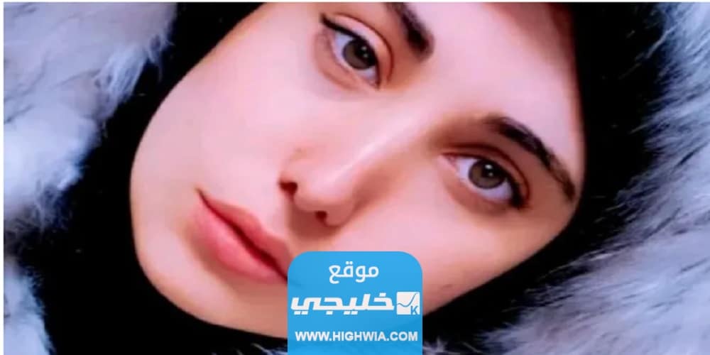 "مقاطع
