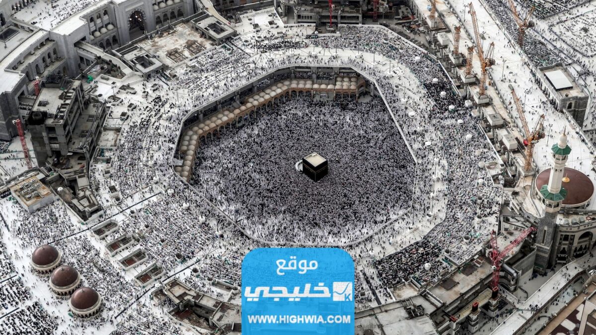 ما هو الحيوان الذي رفض امر صاحبه خوفا من الله