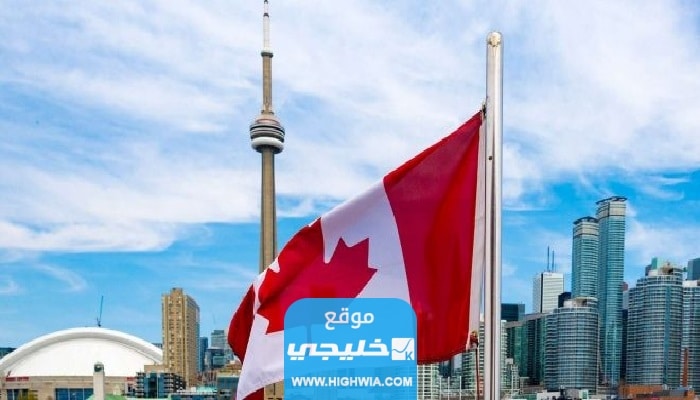 "كيفية