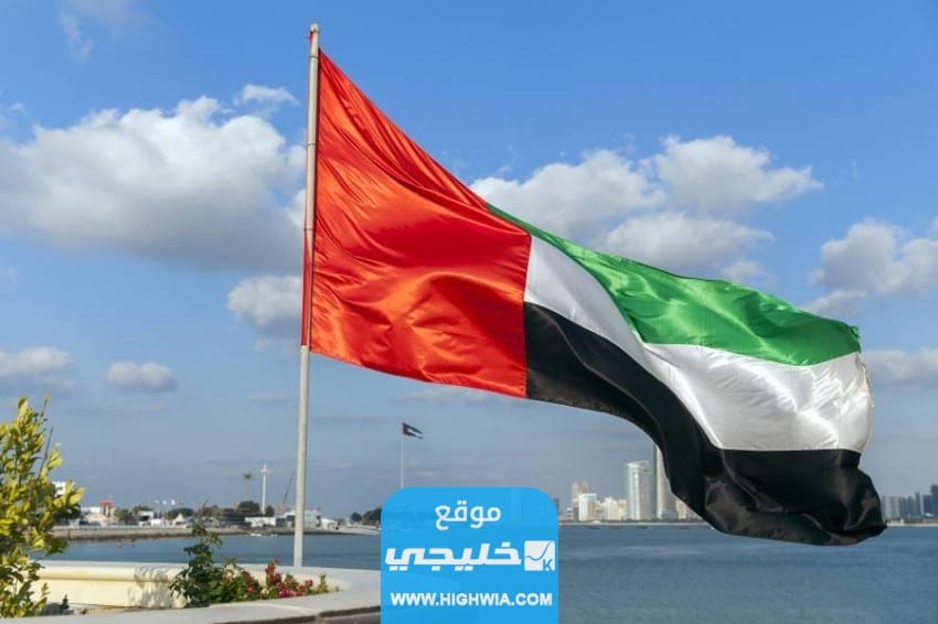 الشيخ سعيد ال نهيان
