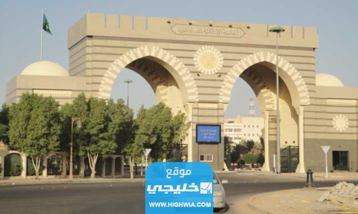 تخصصات الجامعة الإسلامية بالمدينة المنورة الجديدة