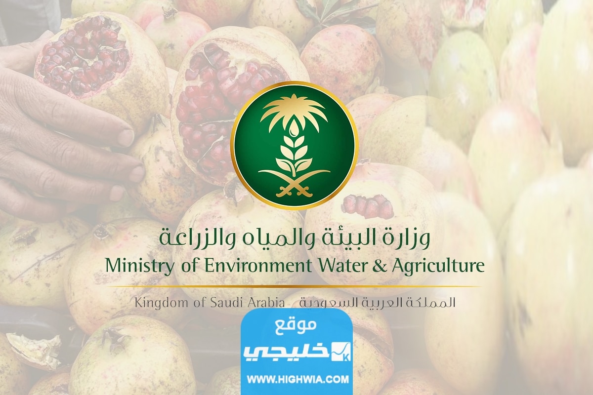 شروط دعم الفواكه في السعودية