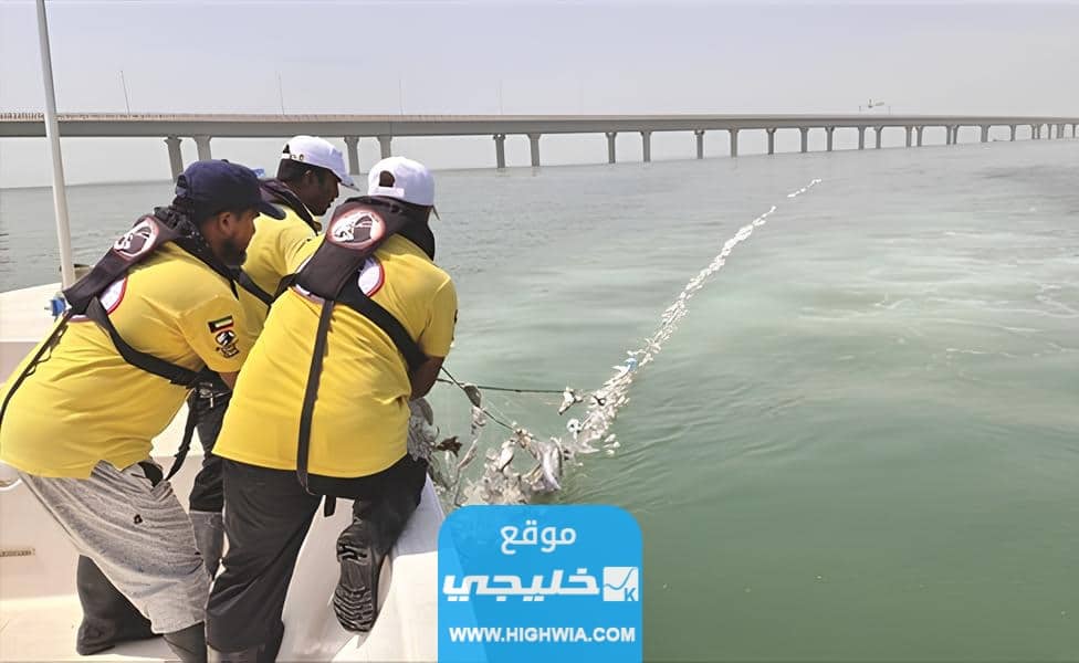 أهمية جون الكويت