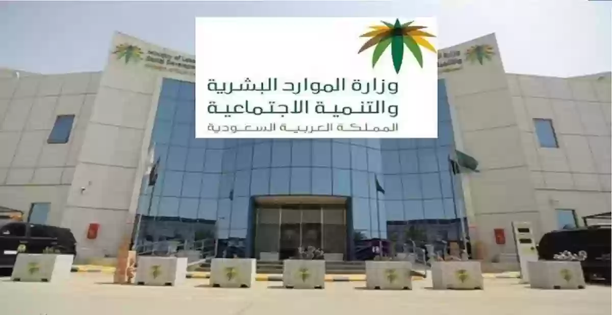 رابط <yoastmark class=