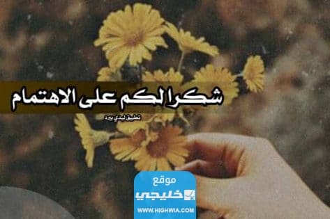 عبارات شكر لمن حضر الزفاف يمكن مشاركتها على الإنترنت