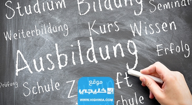 فرص العمل بعد التخرج من برنامج Ausbildung في تخصصات الكمبيوتر