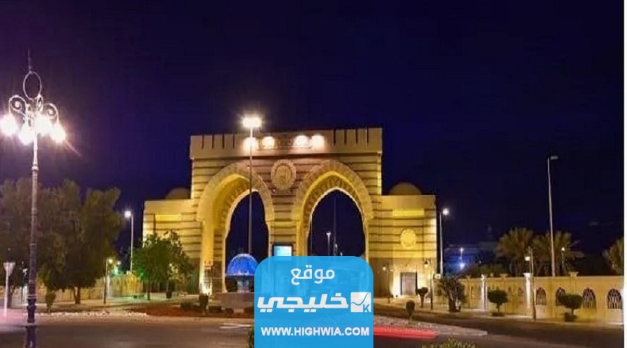 نسب <yoastmark class=