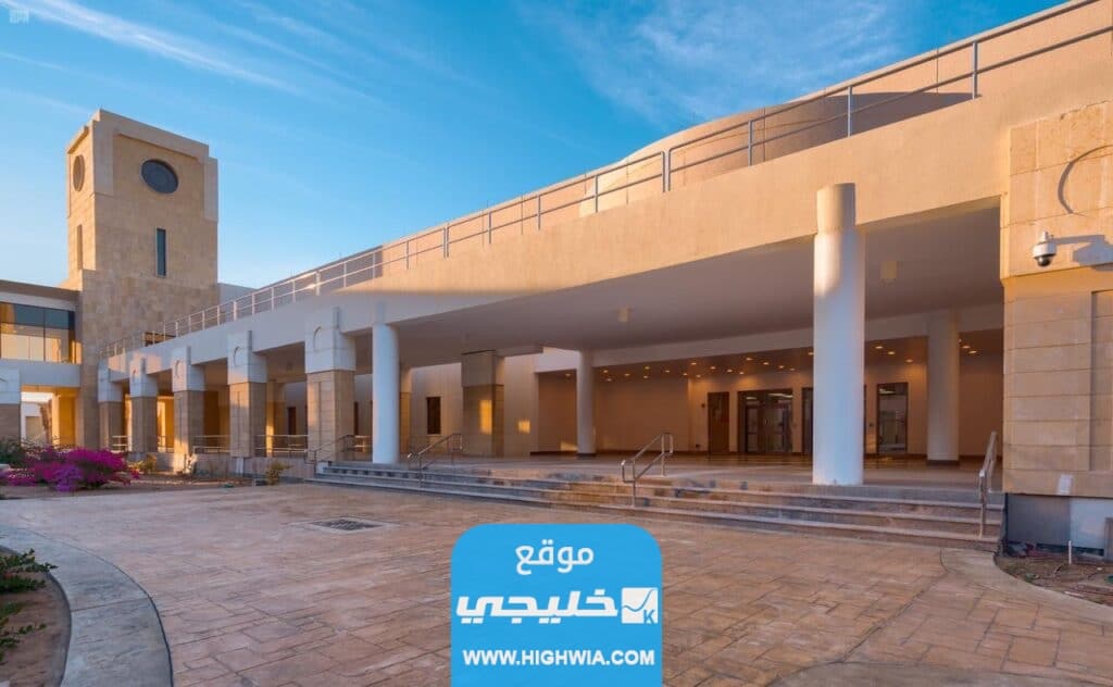 تخصصات كلية ينبع الجامعية للبنات