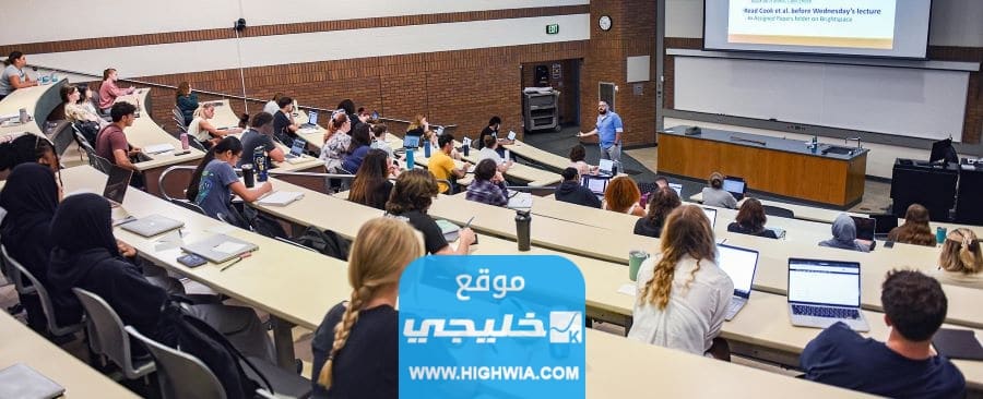 كم راتب دكتور الجامعة في السعودية 2023