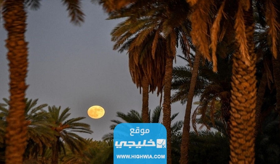 "شاهد حصريا" القمر الأزرق يزين سماء السعودية بالصور والفيديو