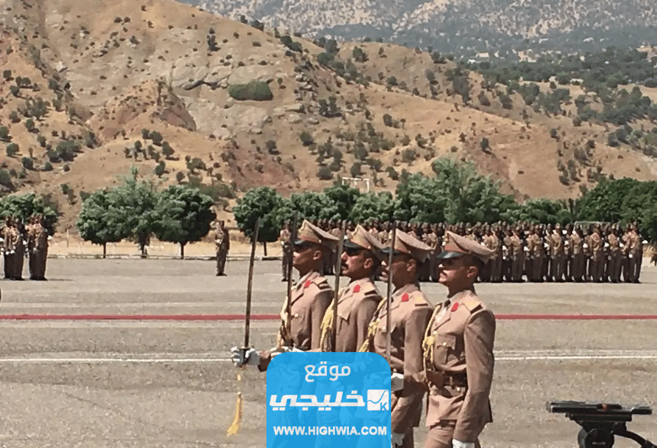 نتائج <yoastmark class=