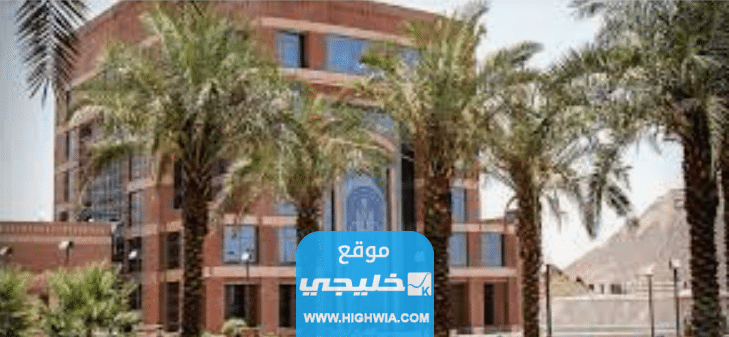 رسوم دراسة الماجستير في جامعة طيبة السعودية