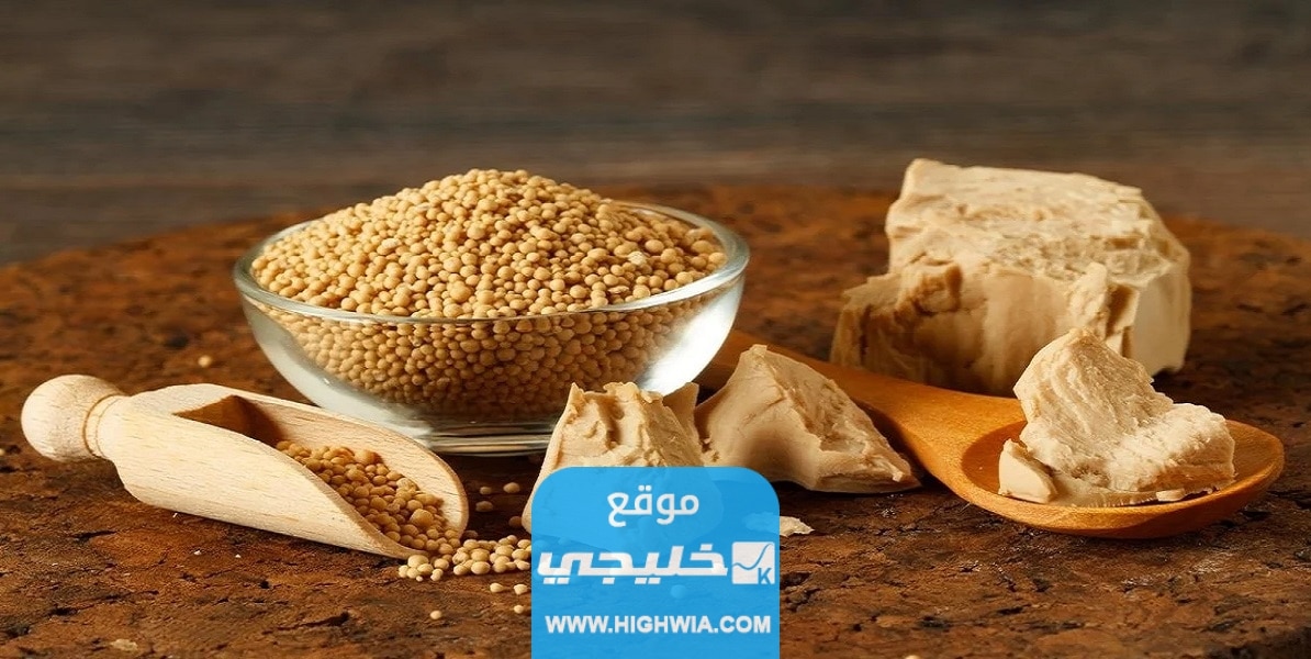 فوائد خميرة الخبز للجسم والبشرة تعرفوا اليها