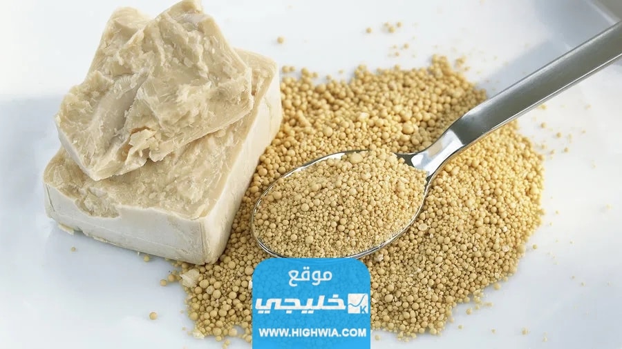 فوائد خميرة الخبز للجسم والبشرة تعرفوا اليها
