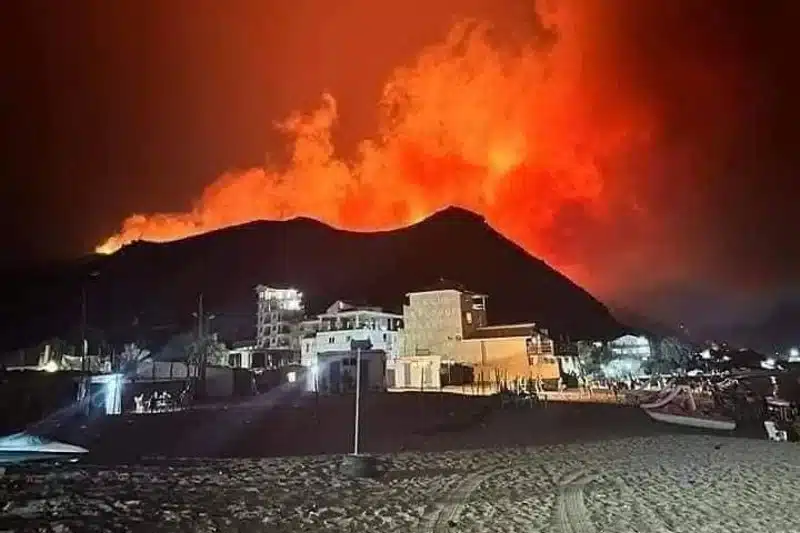 حرائق الغابات بالجزائر