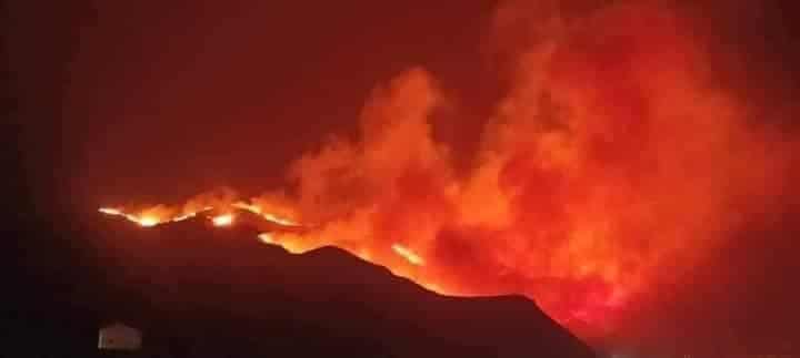 حرائق الجزائر