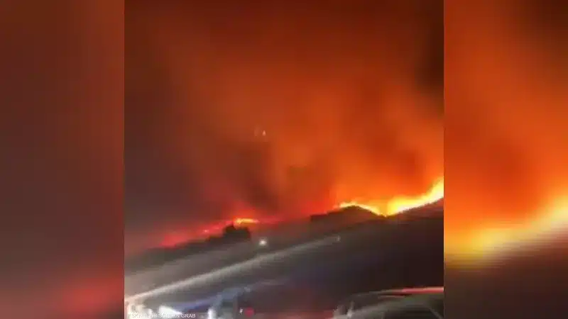 صور الحرائق في الجزائر