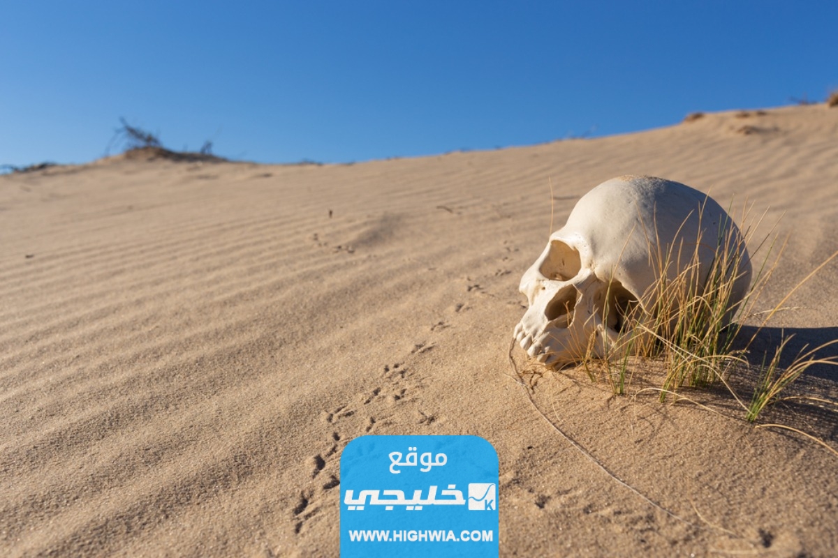 رابط فيديو ظهور الغيلان ووصوله إلى ليبيا