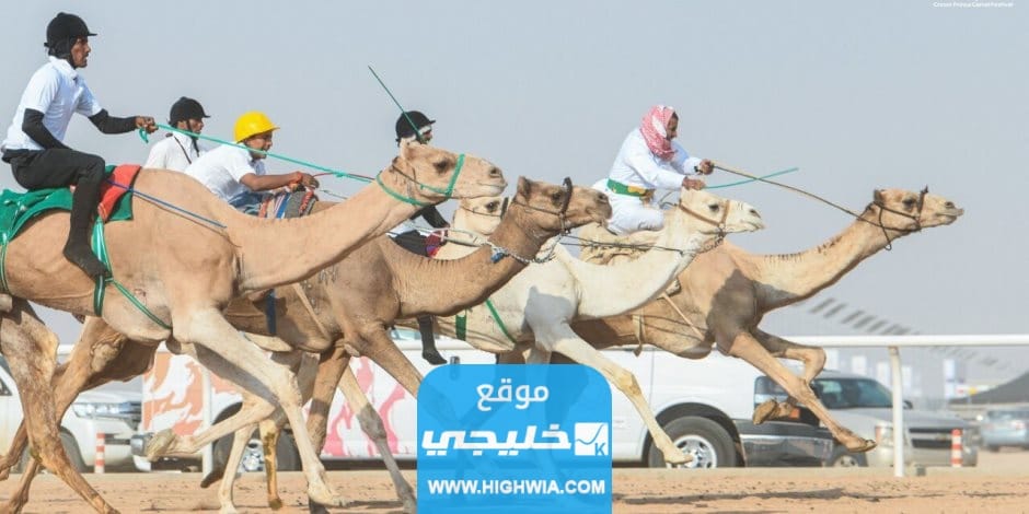 كم تبلغ جوائز <yoastmark class=
